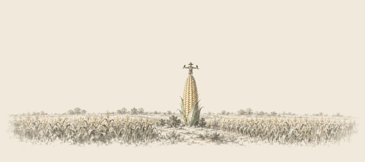 A giant ear of golden corn, the Scarecrow's house, stands in the middle of cornfields with the small Scarecrow and two crows perched on top.