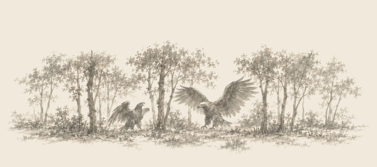 Two eagles stand among slender trees, one small with raised wings, the other larger and alighting beside it with its wings spread wide.