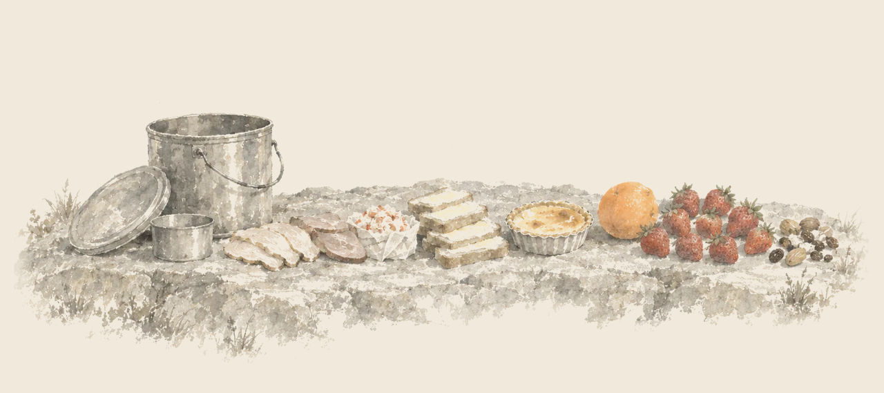 An open tin dinner pail stands on a flat rock beside its lid and cup, with the dinner laid out in a row: meat, bread, a tart, an orange, strawberries and nuts.