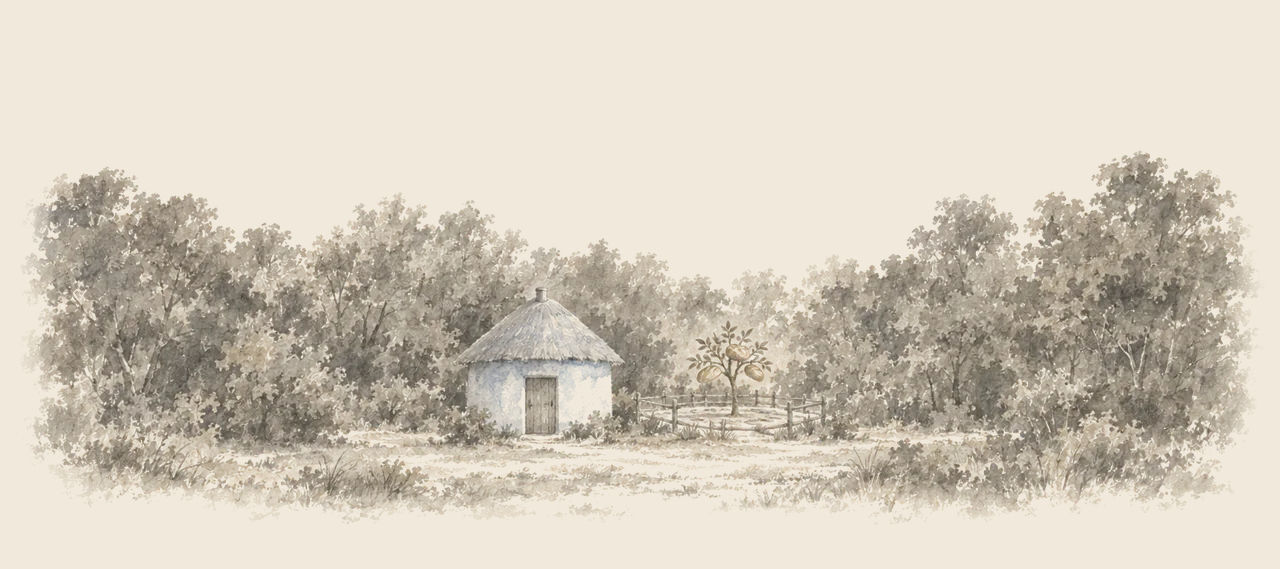 A small round thatched house stands alone in a clearing ringed by thick woods, with a little fenced garden and one bread tree beside it.